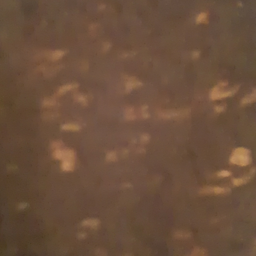 MUDD BLACK SHEER SPECKLED LEOPARD PRINT TOP XS - Picture 2 of 6